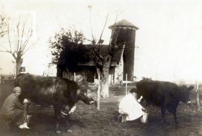 Molino de Río Luján