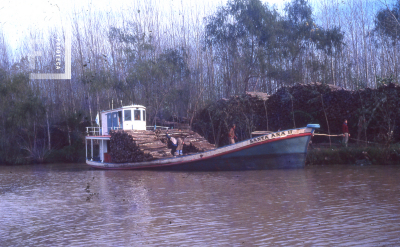 Barco carguero Santa Ana II en el Río Paraná