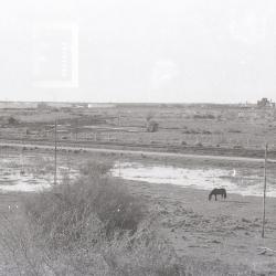 Cruce Av. Ameghino y camino la puerto