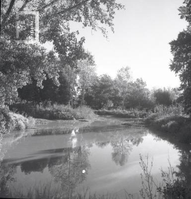 Arroyo Tajíber en el Delta de Campana