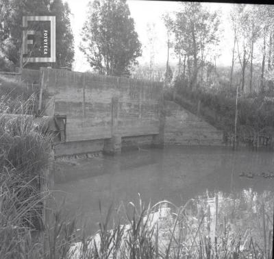 Arroyo Tajíber en el Delta de Campana